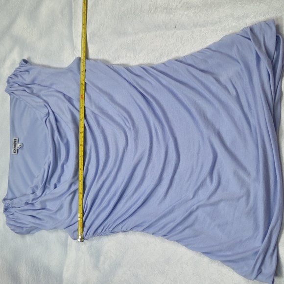 Express Periwinkle Ruched Blouse - Picture 4 of 8